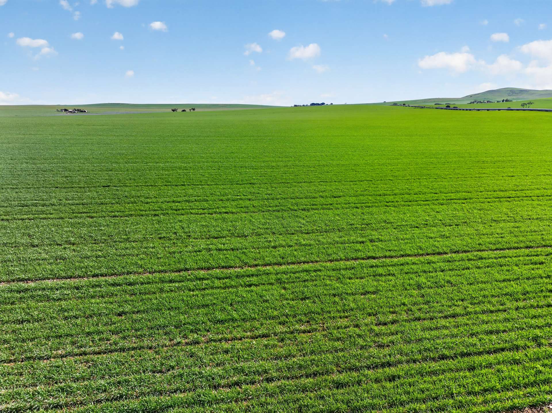 'Wilson Land' Pipeline Road, Gulnare For Sale by Farmbuy.com - image 12