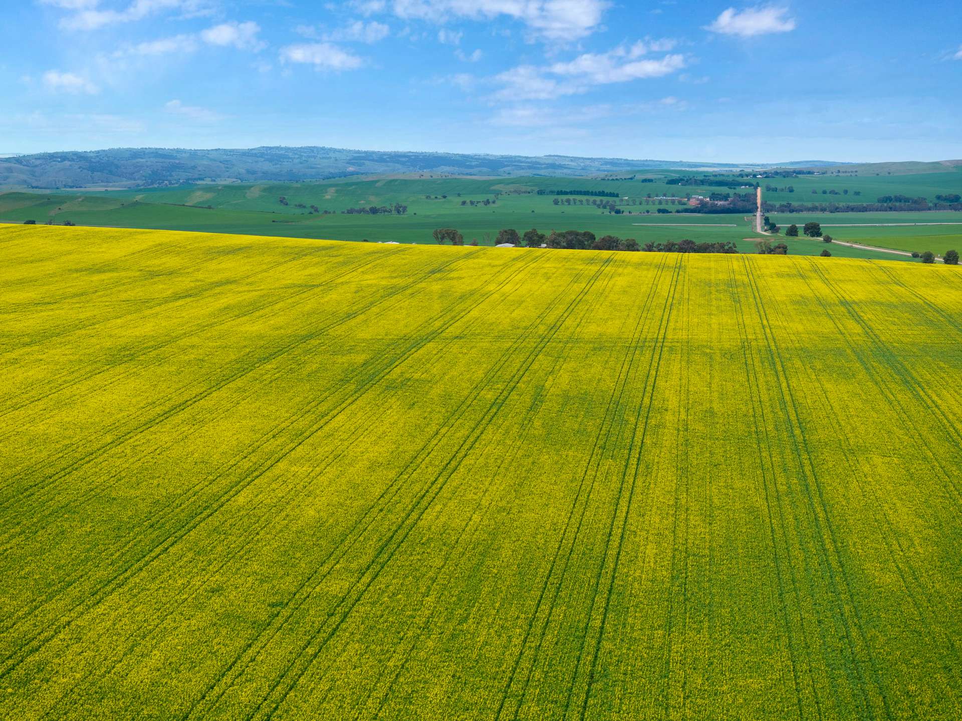'Wilson Land' Pipeline Road, Gulnare For Sale by Farmbuy.com - image 7