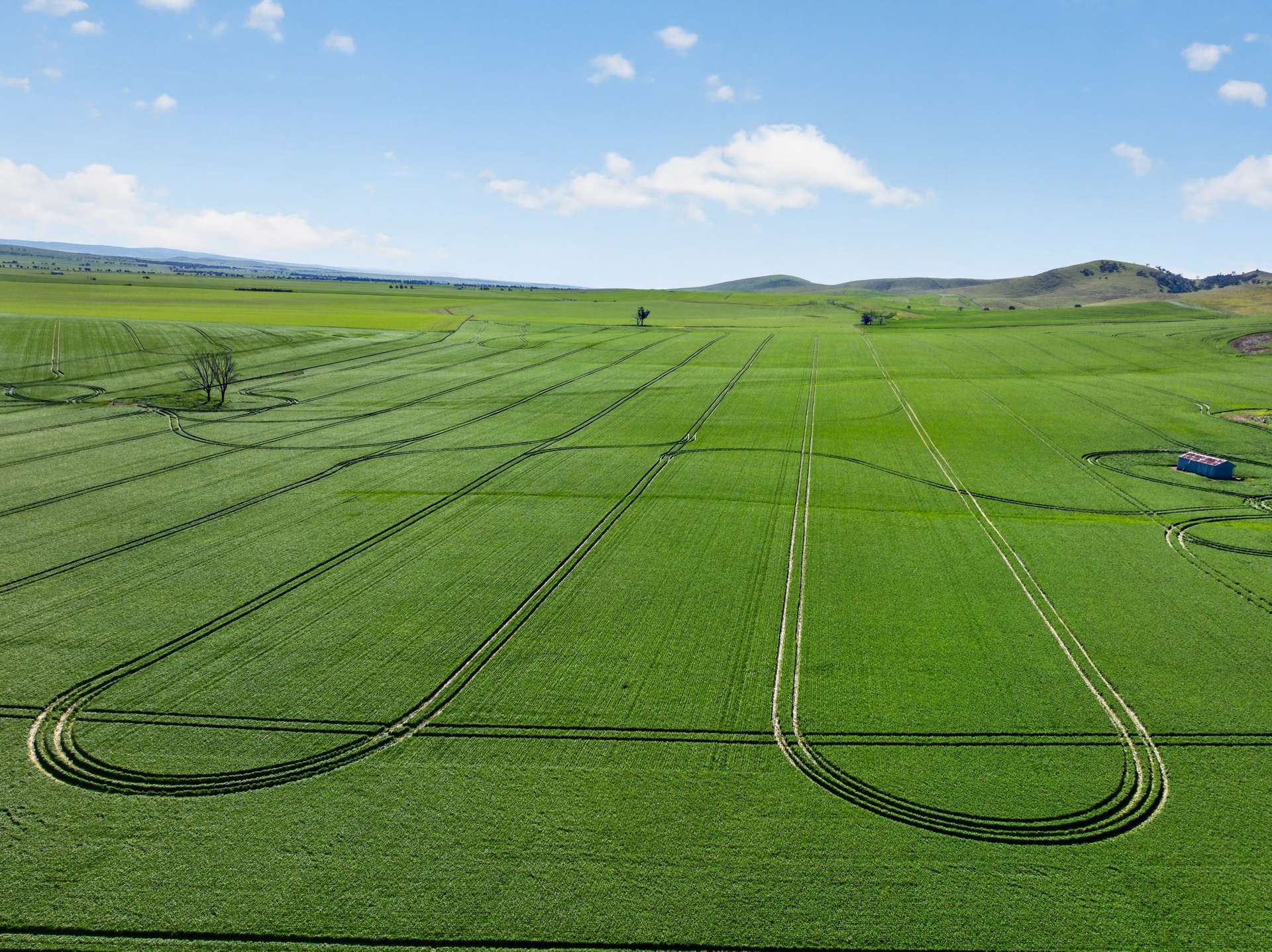 'Wilson Land' Pipeline Road, Gulnare For Sale by Farmbuy.com - image 6