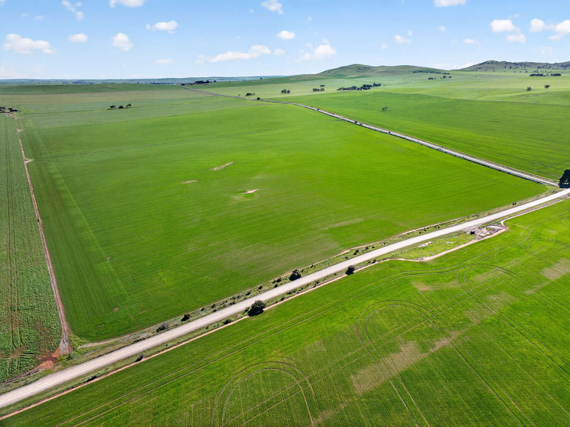 'Wilson Land' Pipeline Road, Gulnare For Sale by Farmbuy.com - image 10