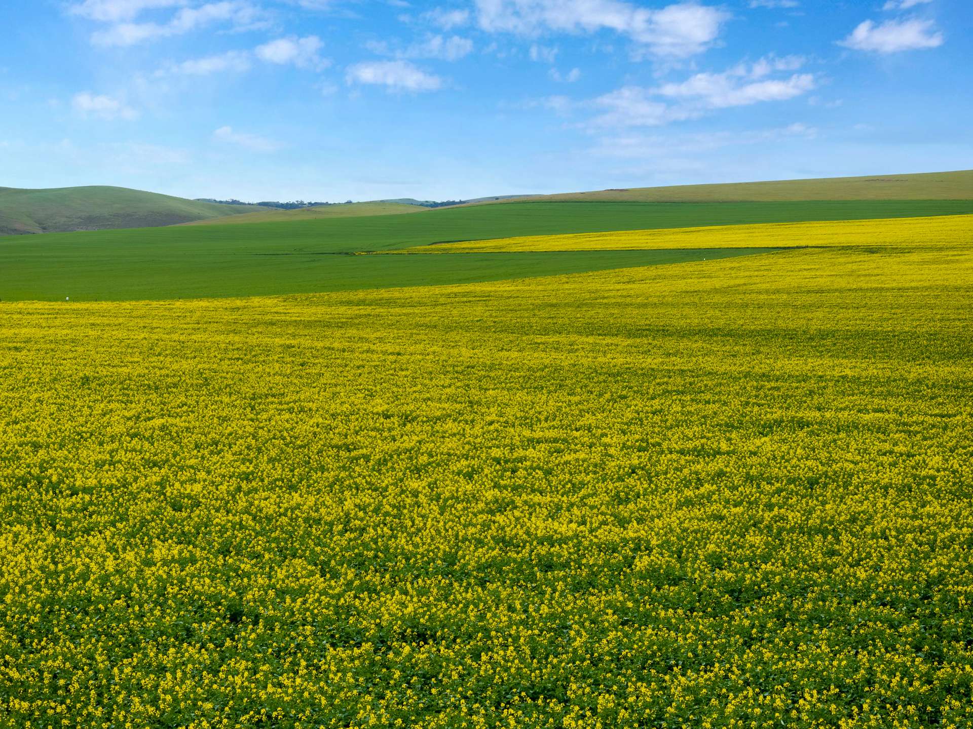 'Wilson Land' Pipeline Road, Gulnare For Sale by Farmbuy.com - image 17