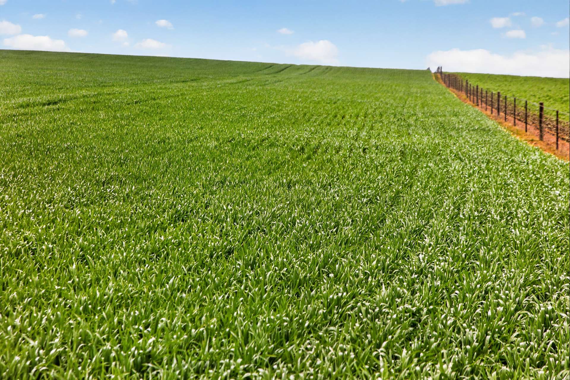 'Wilson Land' Pipeline Road, Gulnare For Sale by Farmbuy.com - image 14