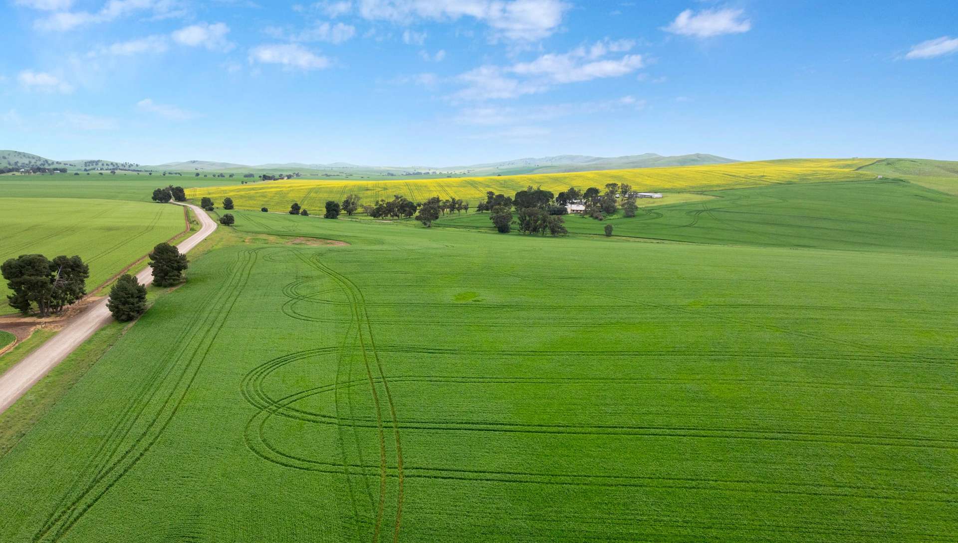 'Wilson Land' Pipeline Road, Gulnare For Sale by Farmbuy.com - image 1