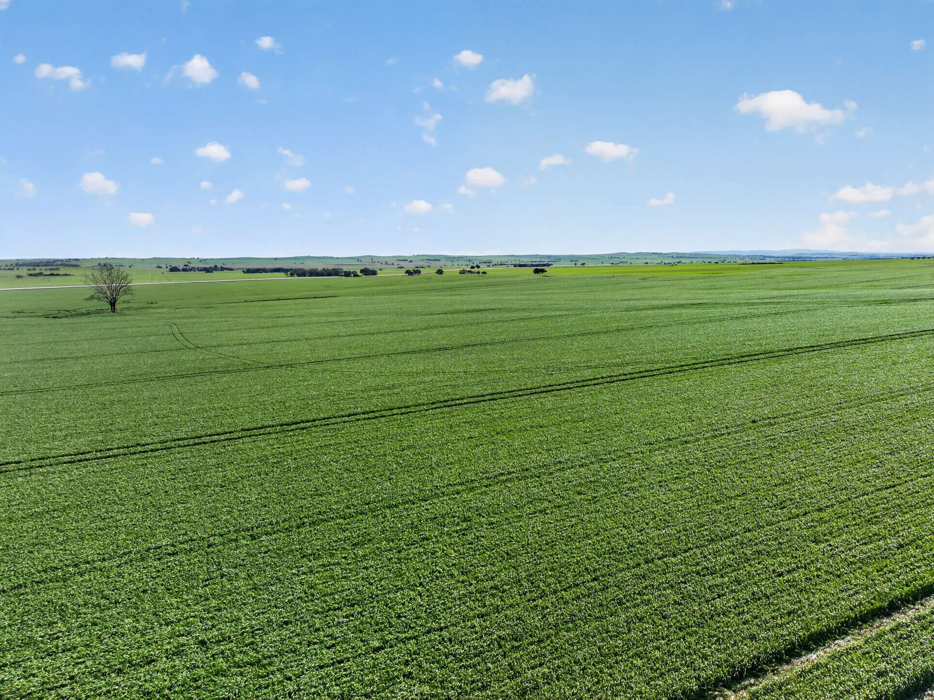 'Wilson Land' Pipeline Road, Gulnare For Sale by Farmbuy.com - image 3