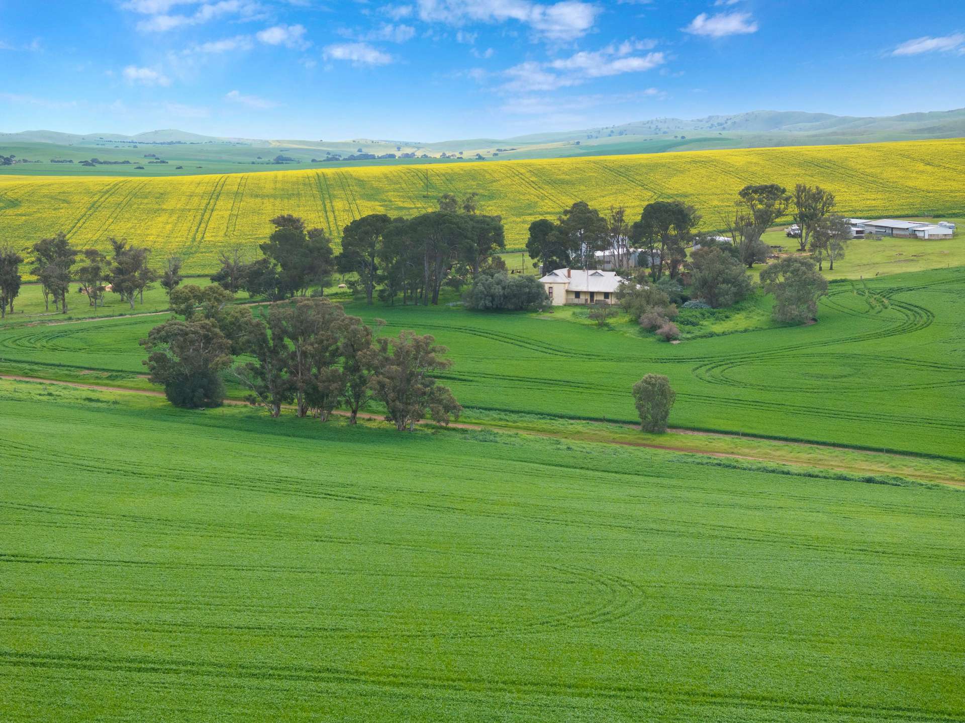 'Wilson Land' Pipeline Road, Gulnare For Sale by Farmbuy.com - image 5