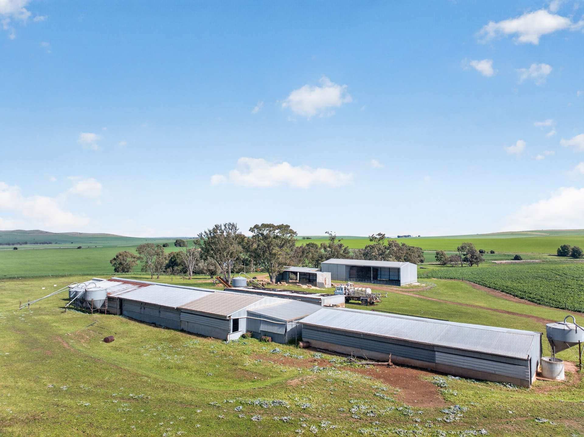 'Wilson Land' Pipeline Road, Gulnare For Sale by Farmbuy.com - image 16