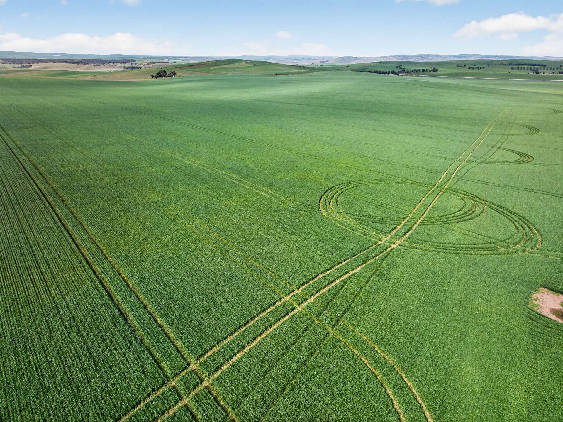 'Wilson Land' Pipeline Road, Gulnare For Sale by Farmbuy.com - image 9