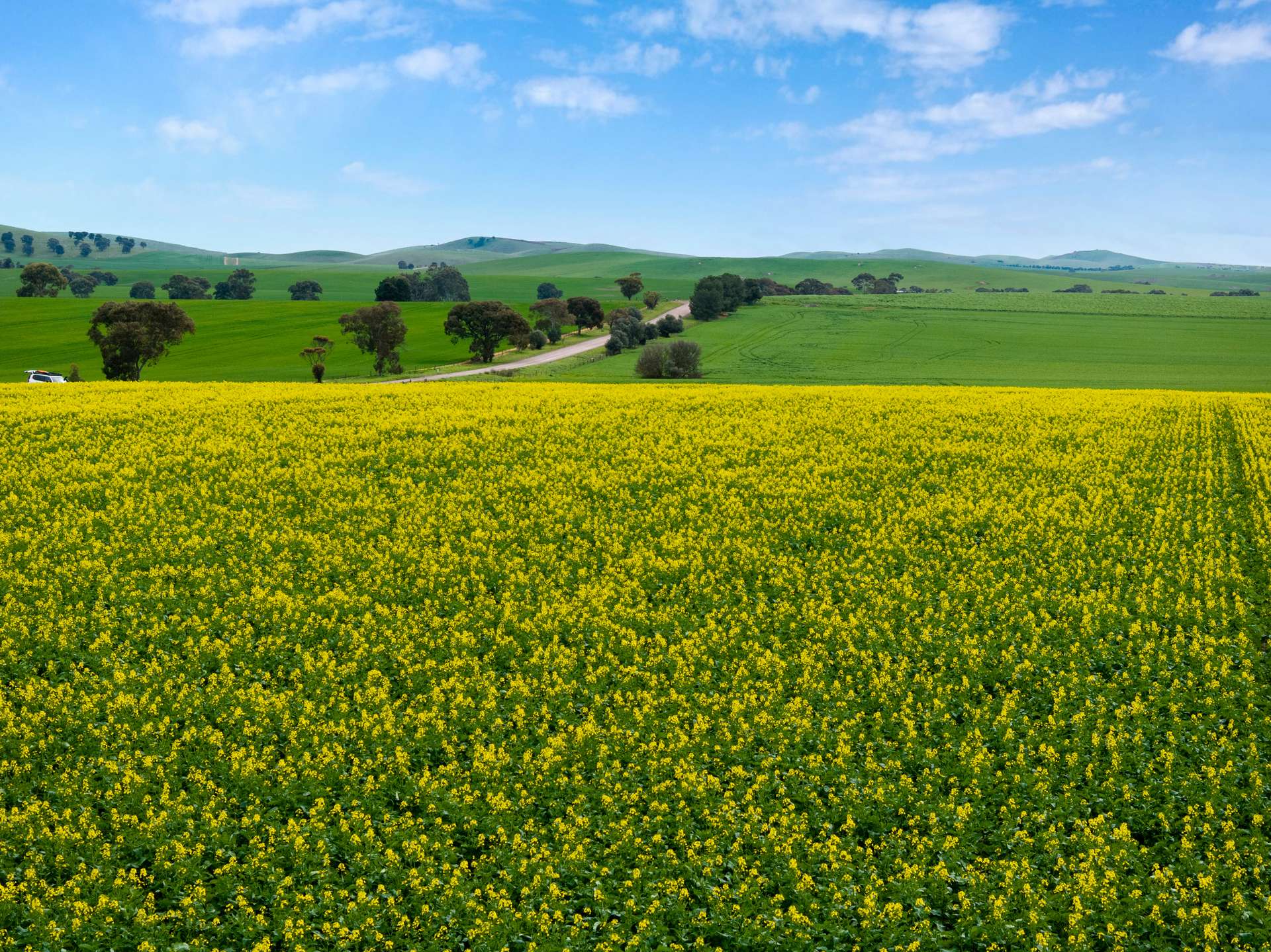 'Wilson Land' Pipeline Road, Gulnare For Sale by Farmbuy.com - image 4