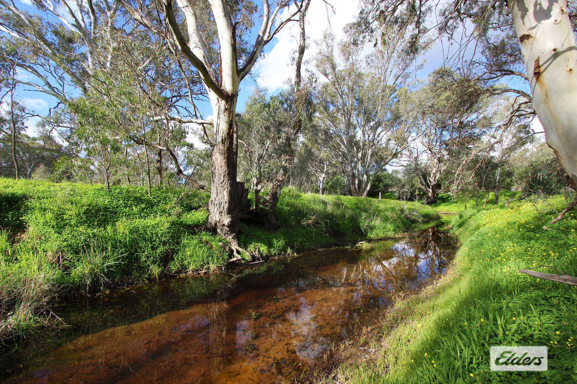 278 Bradford Road, Shelbourne For Sale by Farmbuy.com - image 17