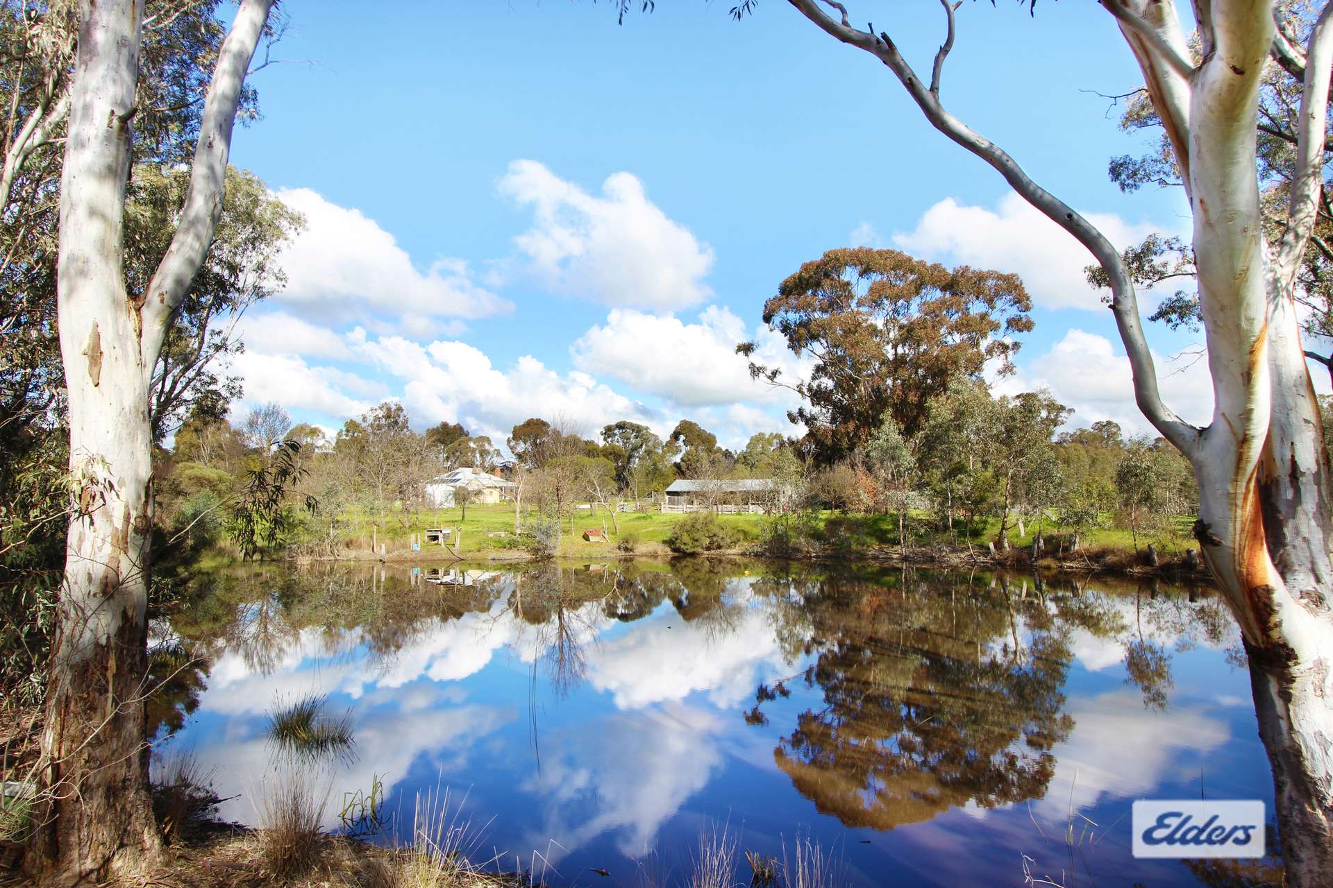 278 Bradford Road, Shelbourne For Sale by Farmbuy.com - image 15