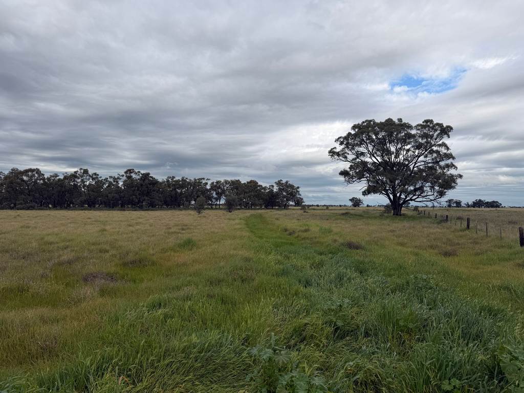 CA 8 Murray Valley Highway, Torrumbarry VIC 3562
