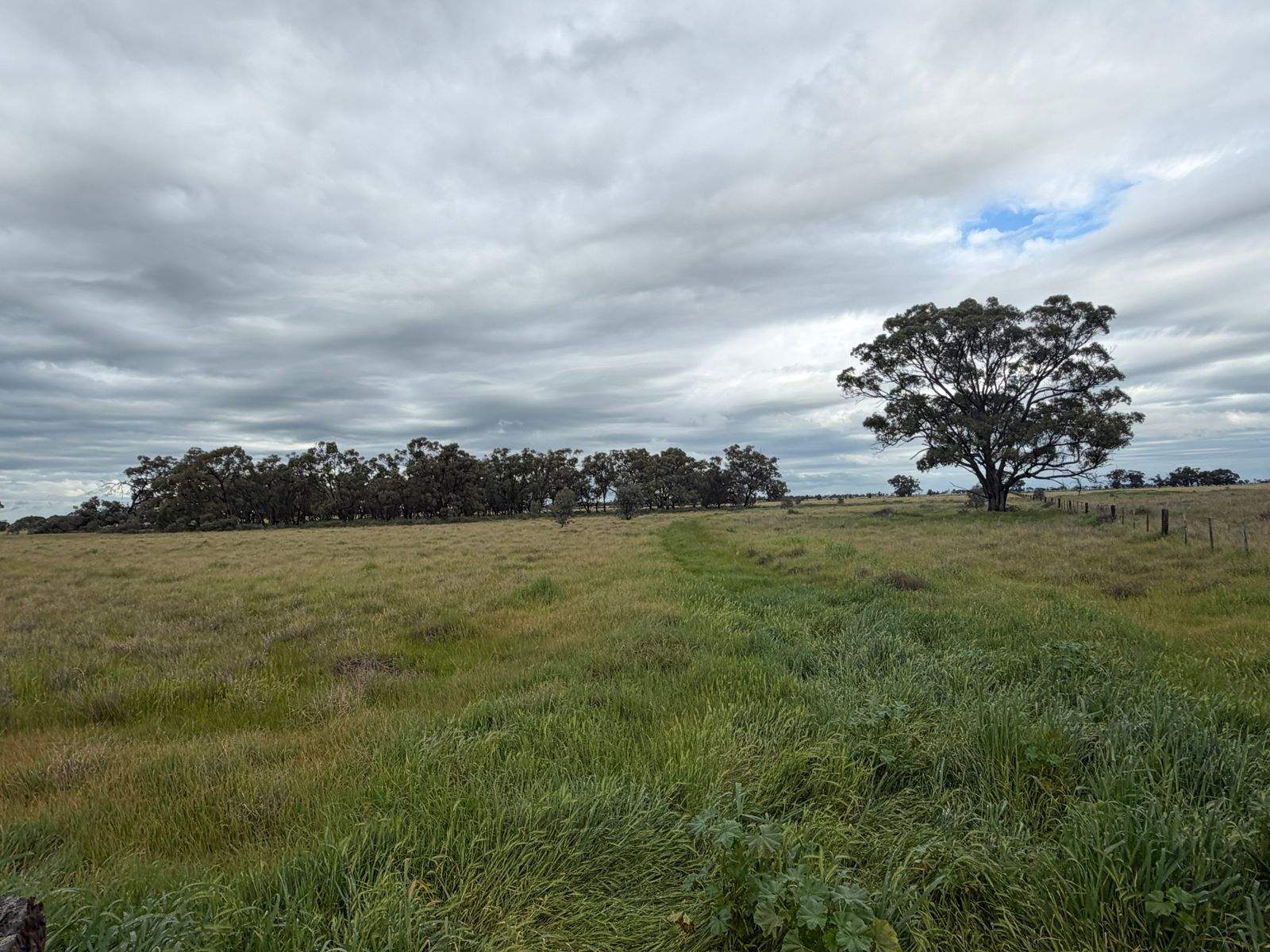 CA 8 Murray Valley Highway, Torrumbarry Sold by Farmbuy.com - image 2