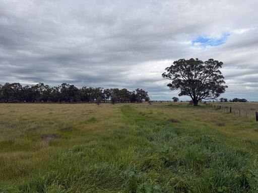 Farm Sold - VIC - Torrumbarry - 3562 - 321 Acres of Quality Grazing Country 