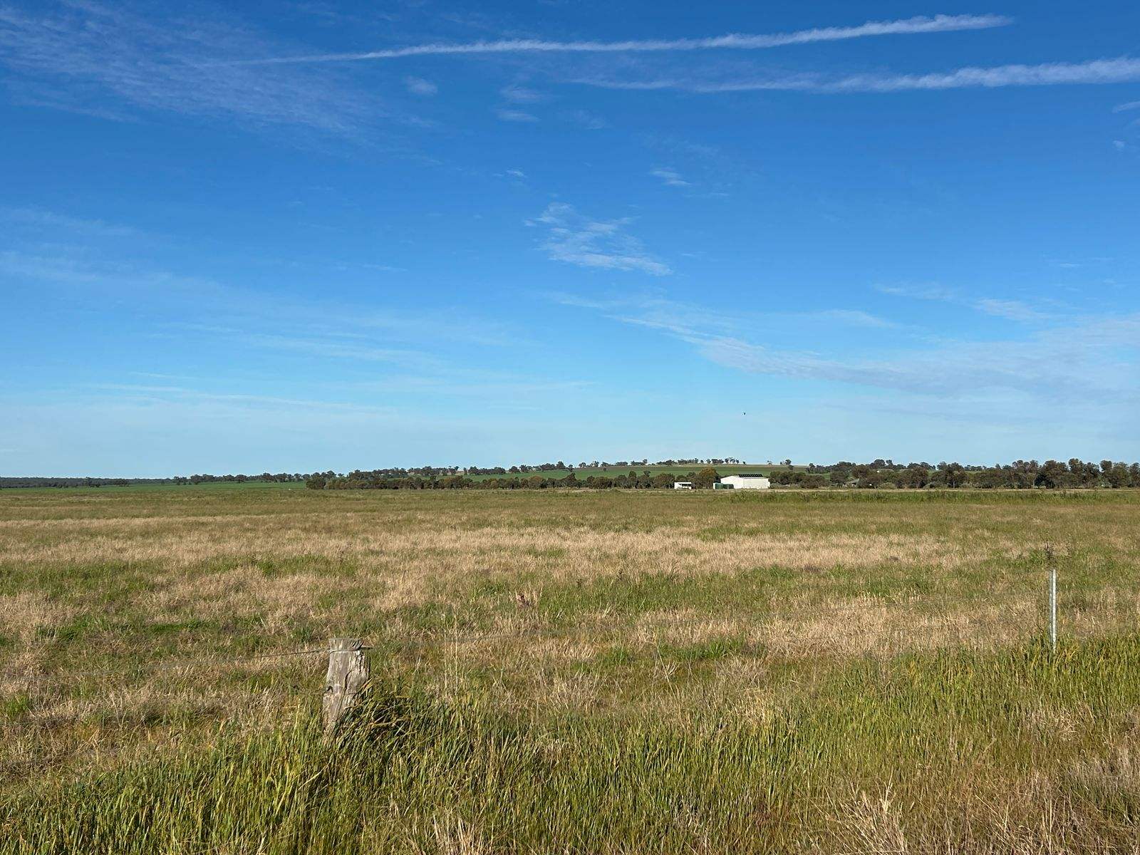 516 Jungaburra Road, Terrick Terrick For Sale by Farmbuy.com - image 4