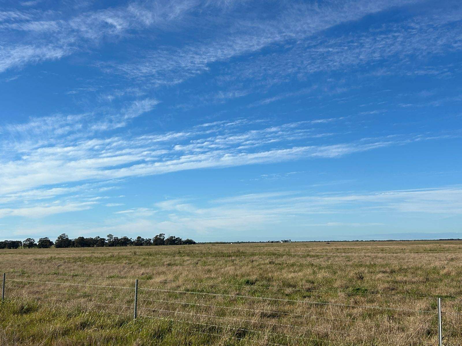 516 Jungaburra Road, Terrick Terrick For Sale by Farmbuy.com - image 3