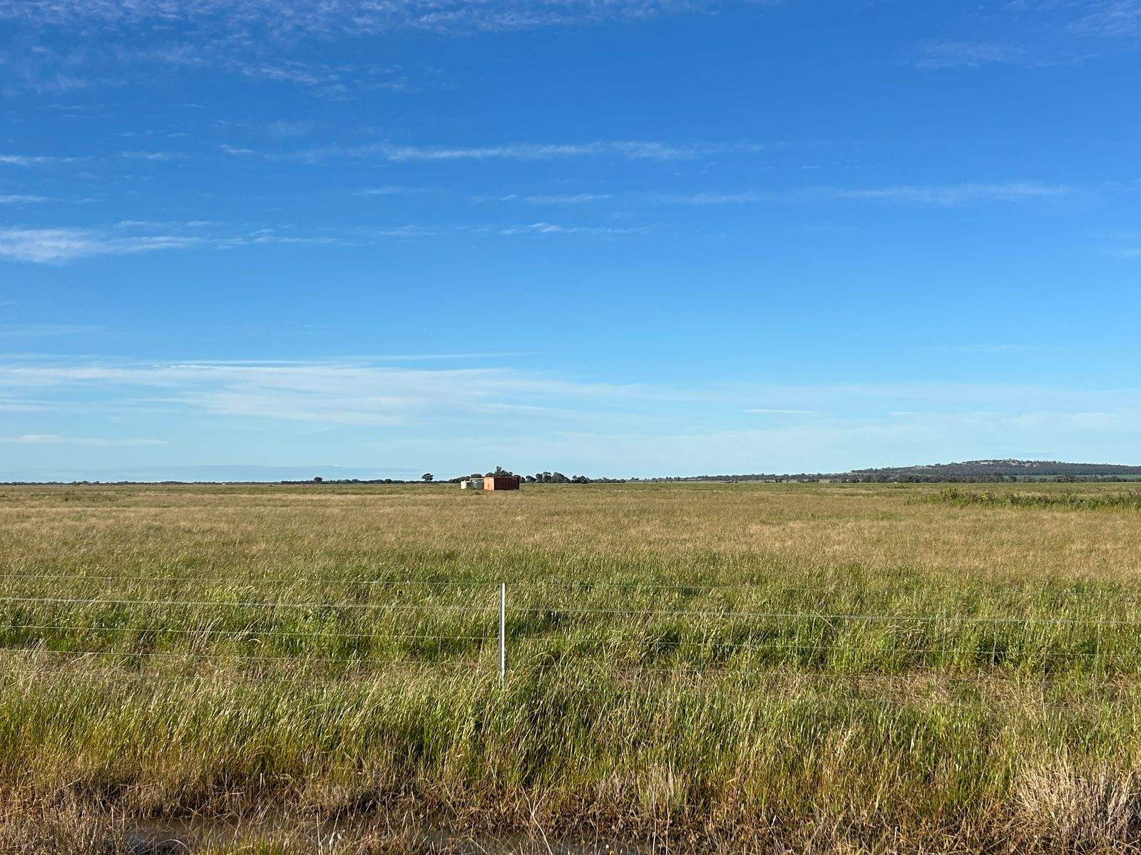 516 Jungaburra Road, Terrick Terrick For Sale by Farmbuy.com - image 2