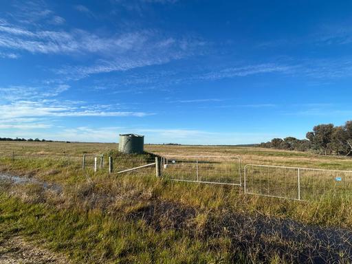 Farm For Sale - VIC - Terrick Terrick - 3575 - TERRICK TERRICK AREA GRAZING OR CROPPING PROPERTY 