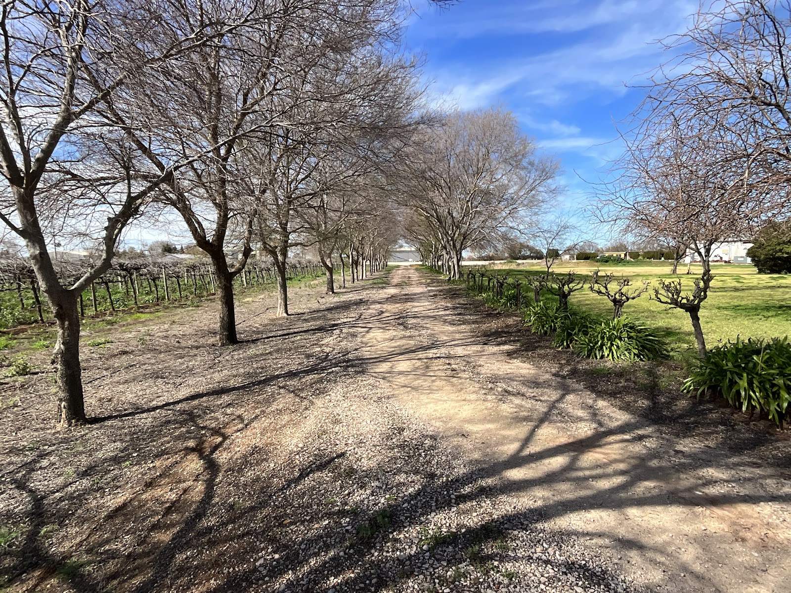 309 Drew Road, Hanwood For Sale by Farmbuy.com - image 12