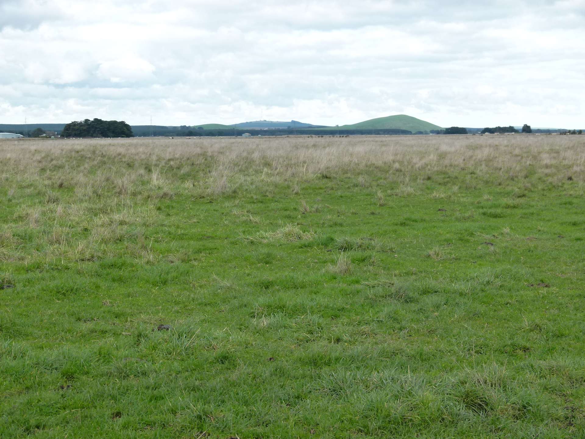 Lot 1/Sec 417 & 429 Furner Road, Millicent For Sale by Farmbuy.com - image 4