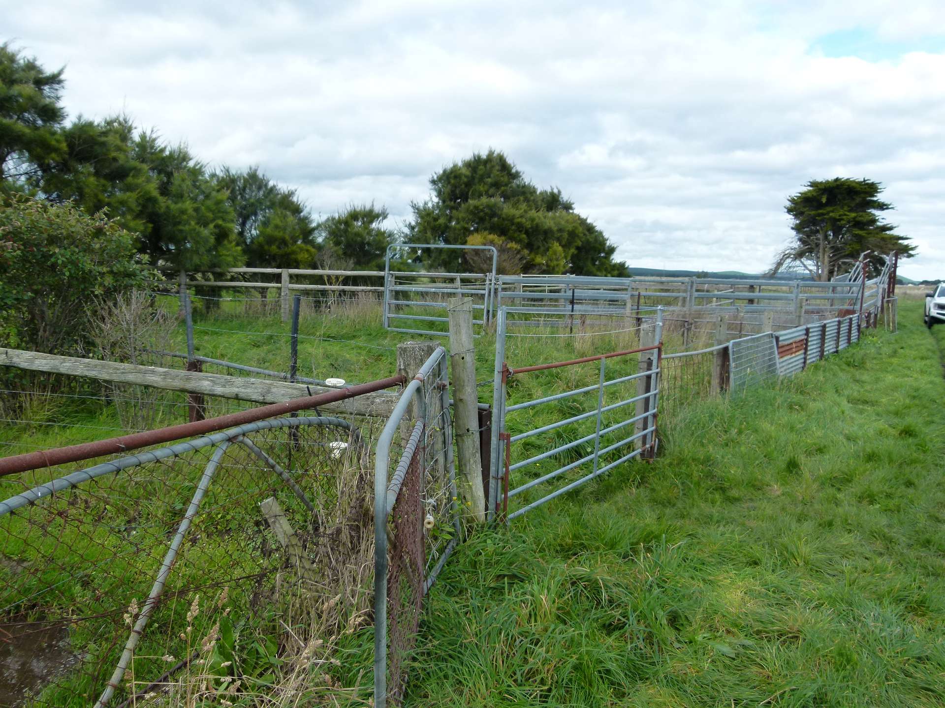 Lot 1/Sec 417 & 429 Furner Road, Millicent For Sale by Farmbuy.com - image 2