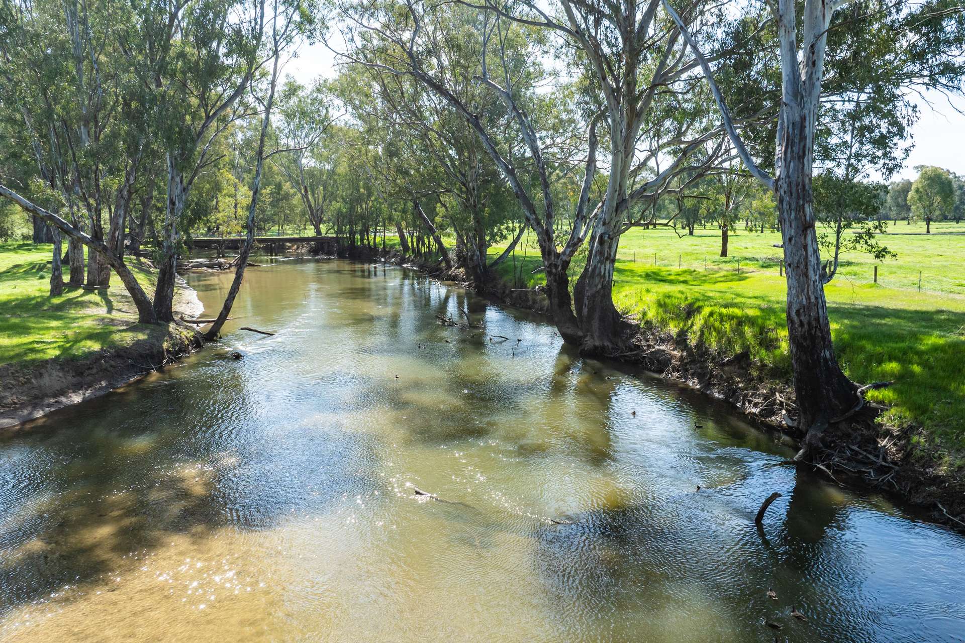 3083-3175 Riverina Highway, Albury Auction by Farmbuy.com - image 12