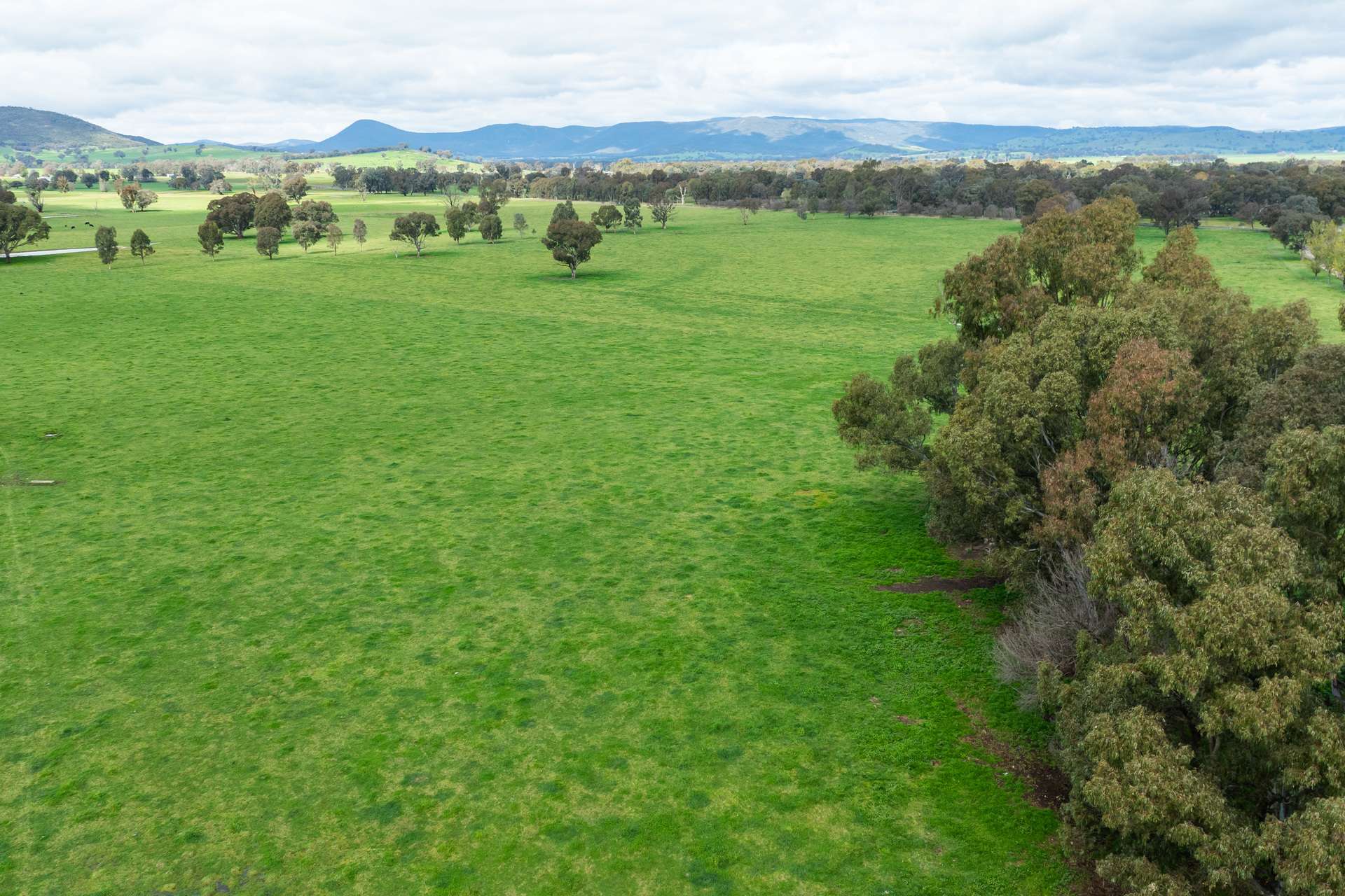 185 Jingellic Road, Holbrook For Sale by Farmbuy.com - image 23