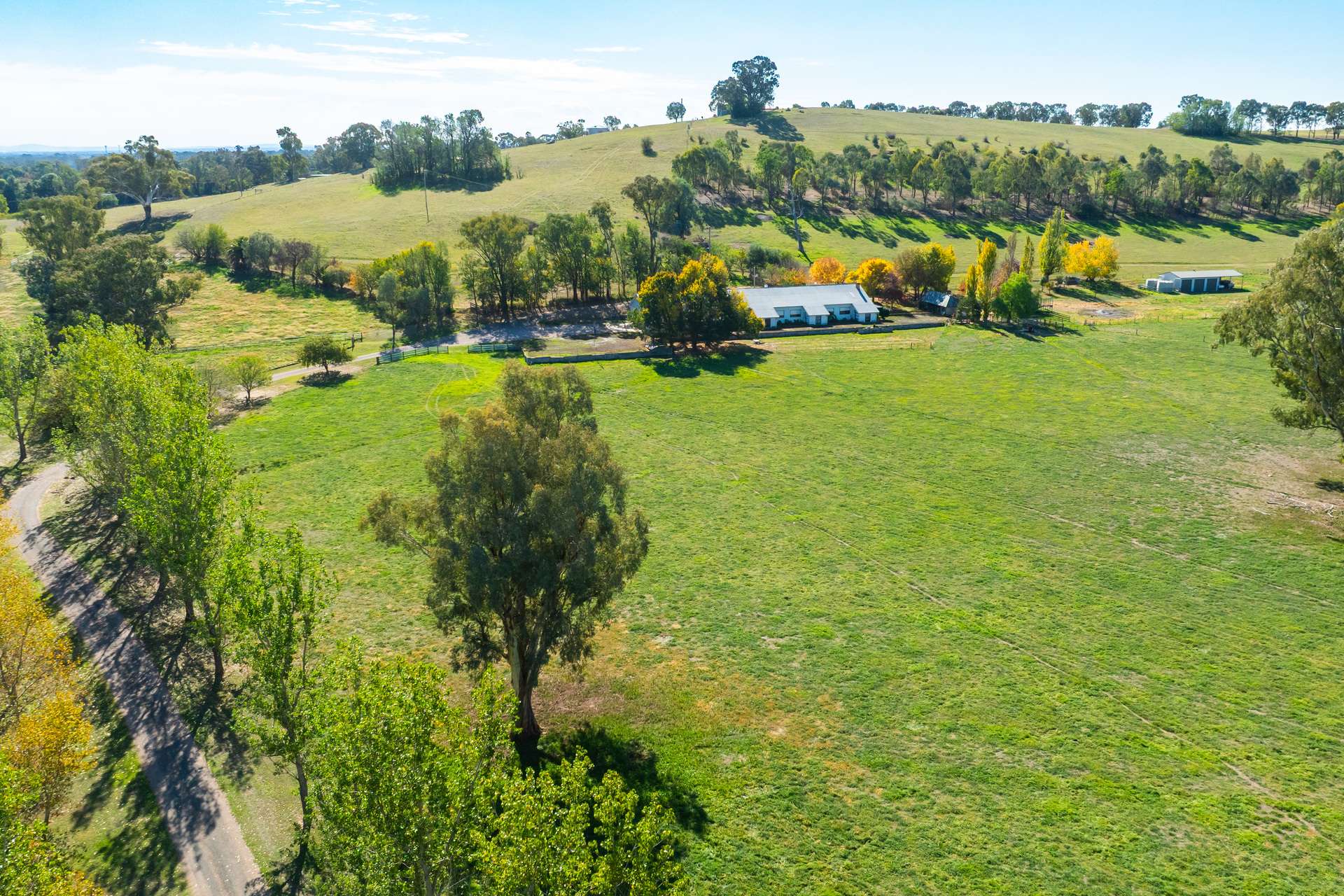 185 Jingellic Road, Holbrook For Sale by Farmbuy.com - image 27