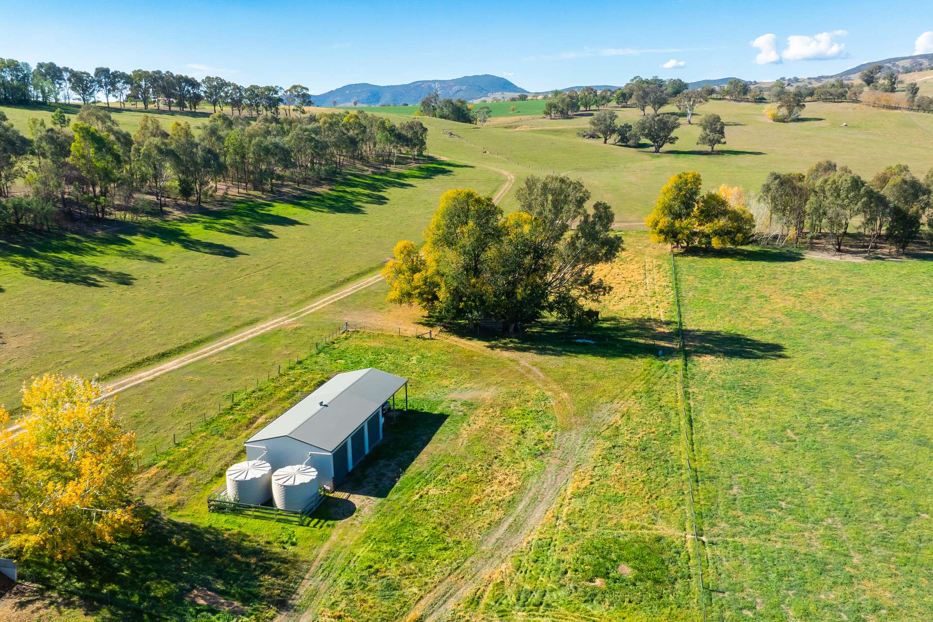 185 Jingellic Road, Holbrook For Sale by Farmbuy.com - image 29