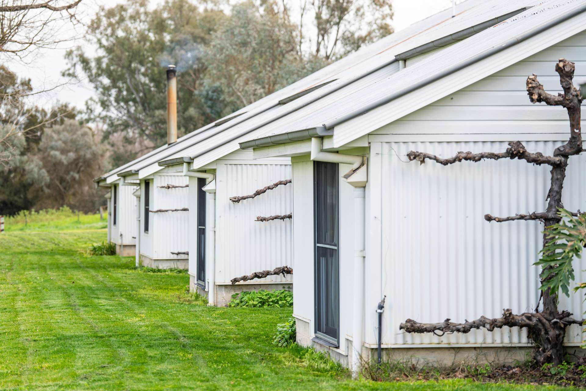 185 Jingellic Road, Holbrook For Sale by Farmbuy.com - image 34