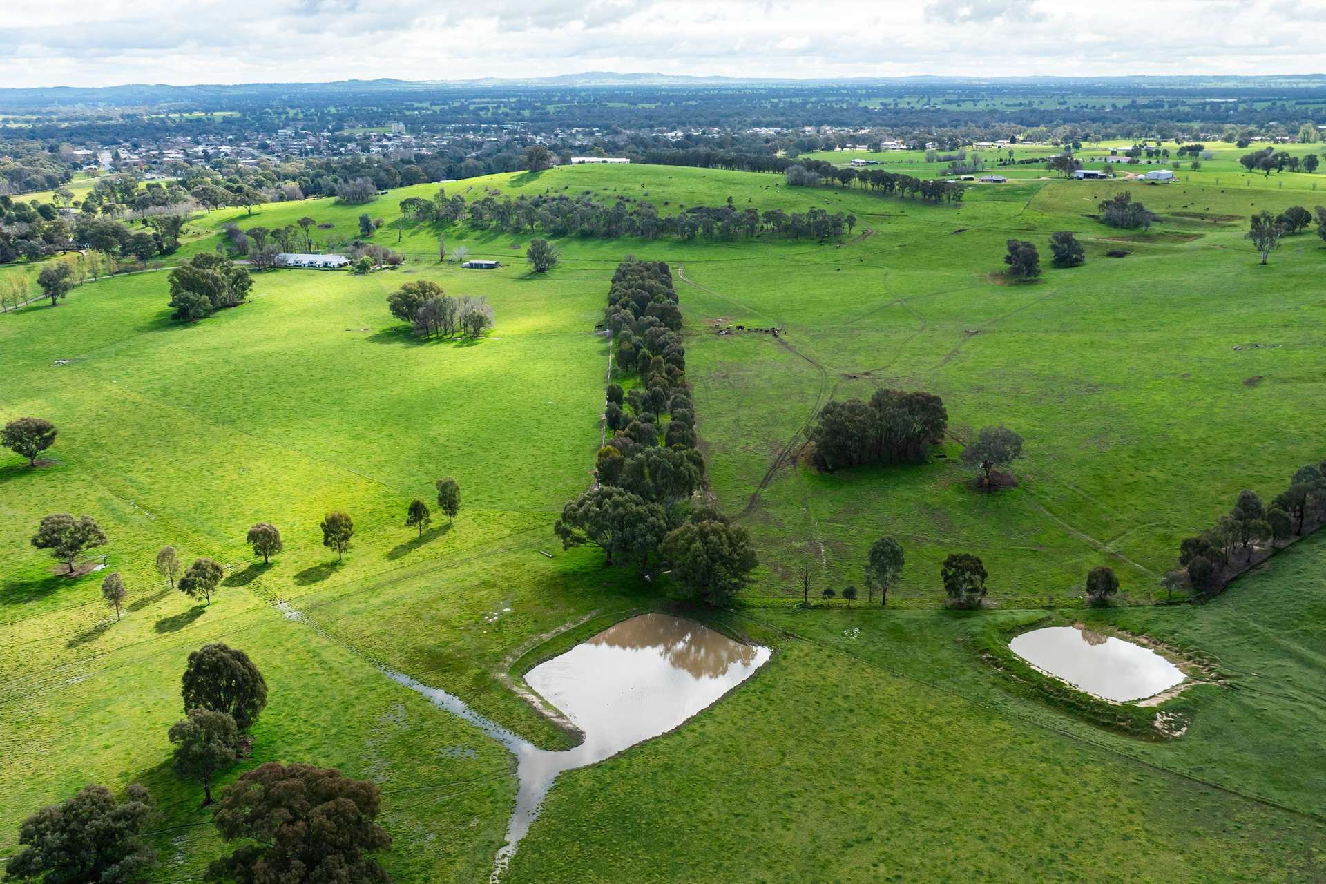 185 Jingellic Road, Holbrook For Sale by Farmbuy.com - image 24