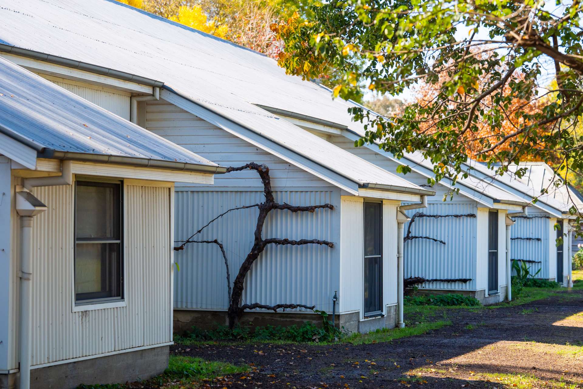 185 Jingellic Road, Holbrook For Sale by Farmbuy.com - image 26