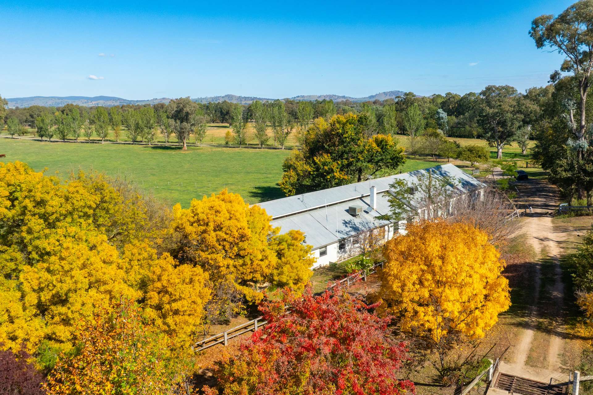 185 Jingellic Road, Holbrook For Sale by Farmbuy.com - image 31