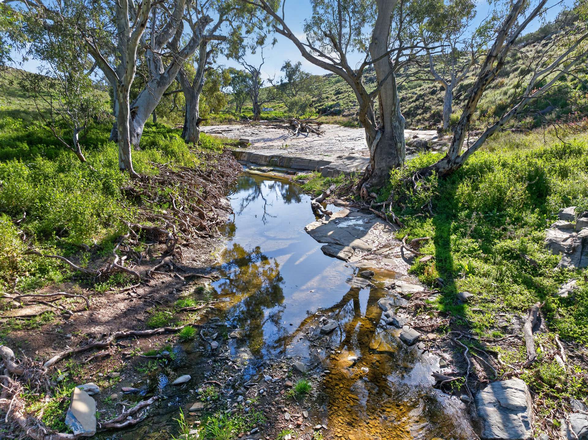 3240 Martins Well Road, Upalinna Auction by Farmbuy.com - image 25