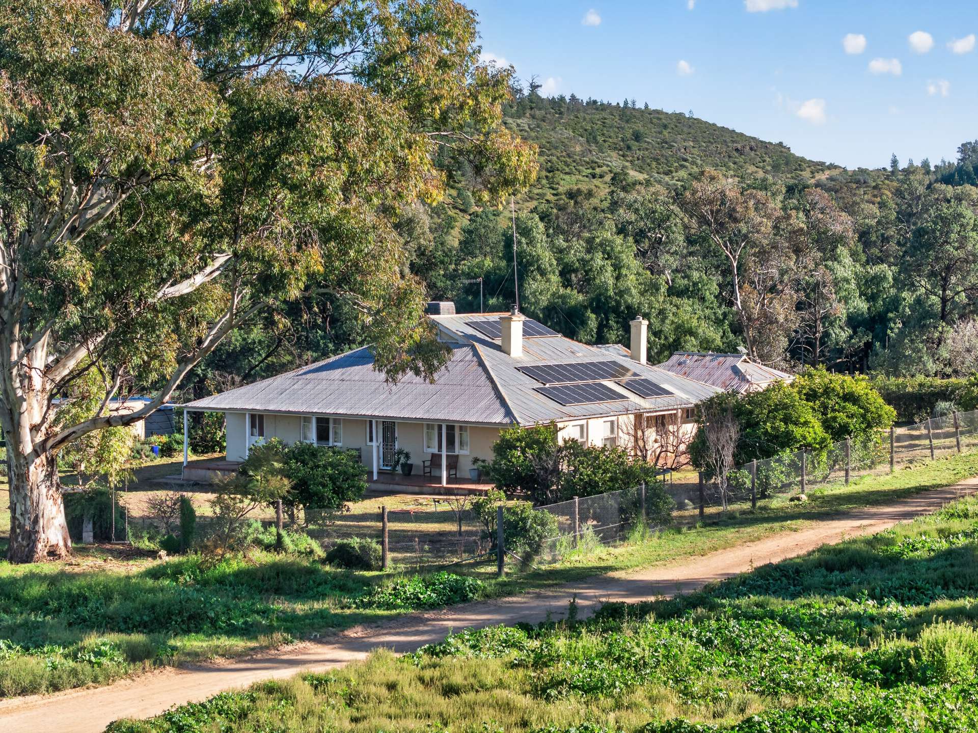 3240 Martins Well Road, Upalinna Auction by Farmbuy.com - image 2