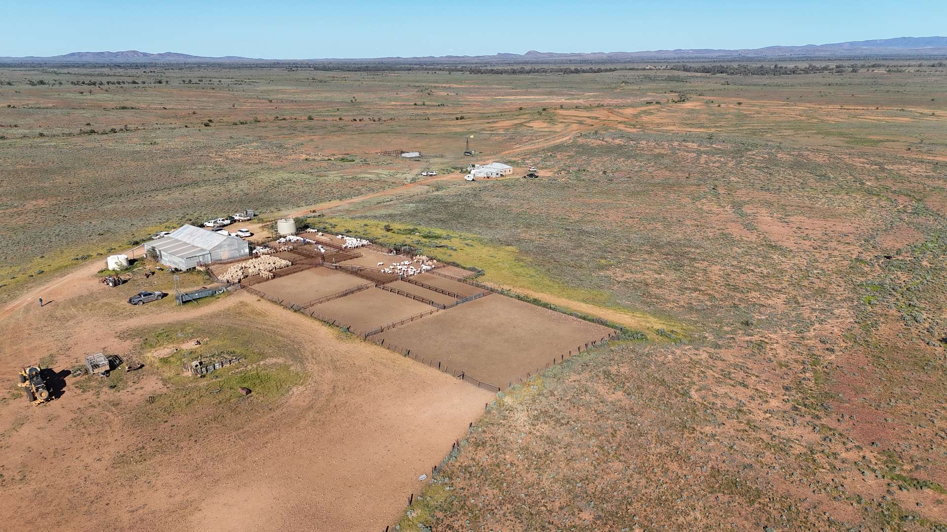 3240 Martins Well Road, Upalinna Auction by Farmbuy.com - image 6
