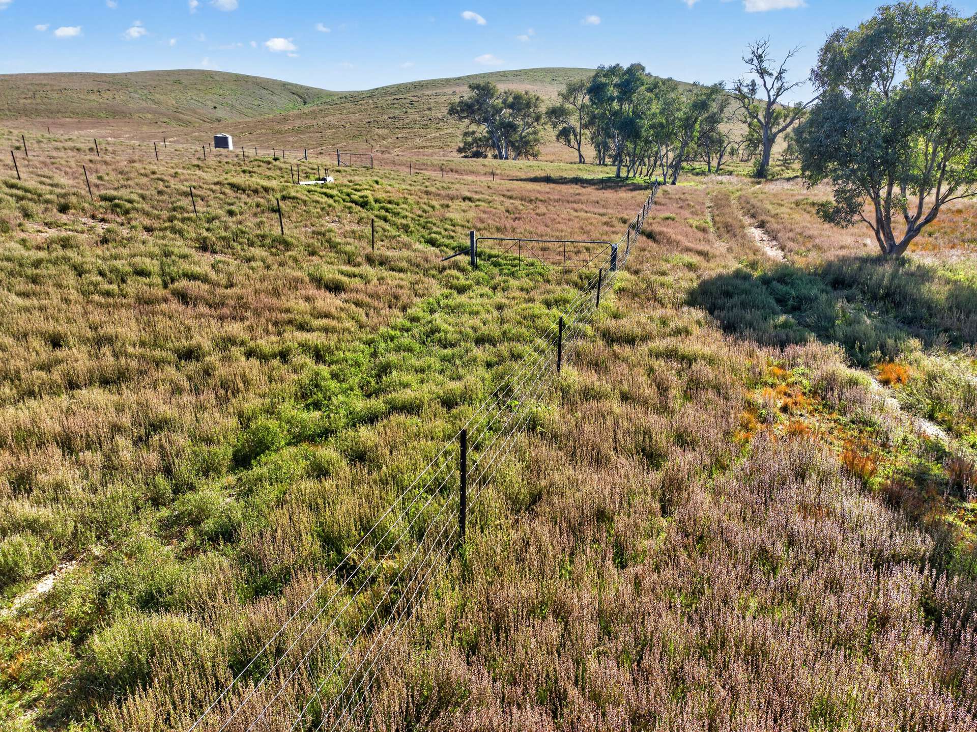 3240 Martins Well Road, Upalinna Auction by Farmbuy.com - image 26