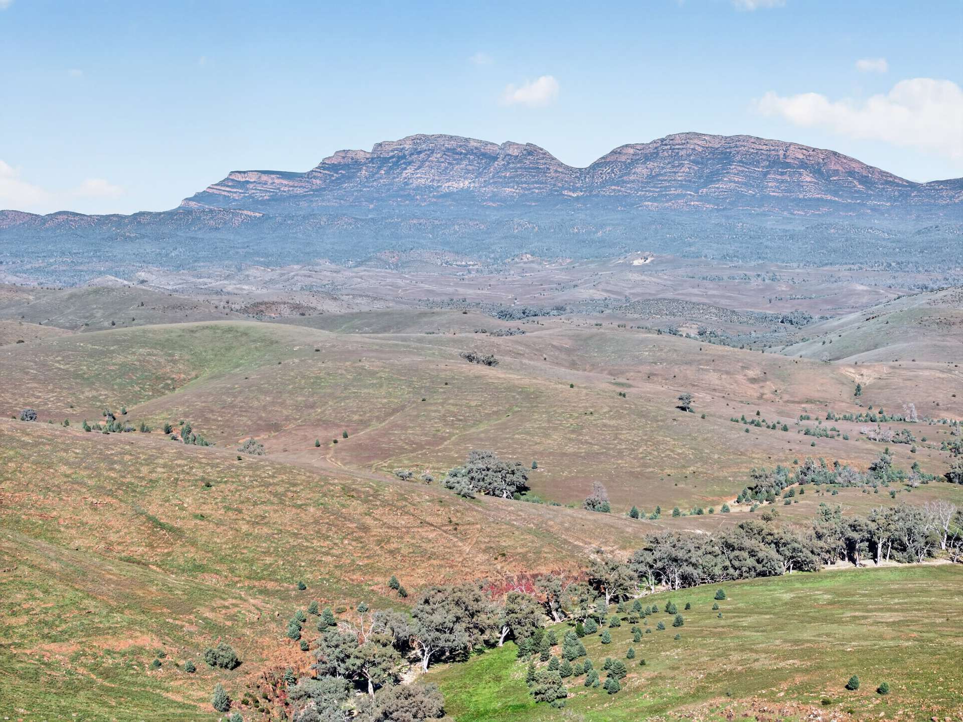3240 Martins Well Road, Upalinna Auction by Farmbuy.com - image 24