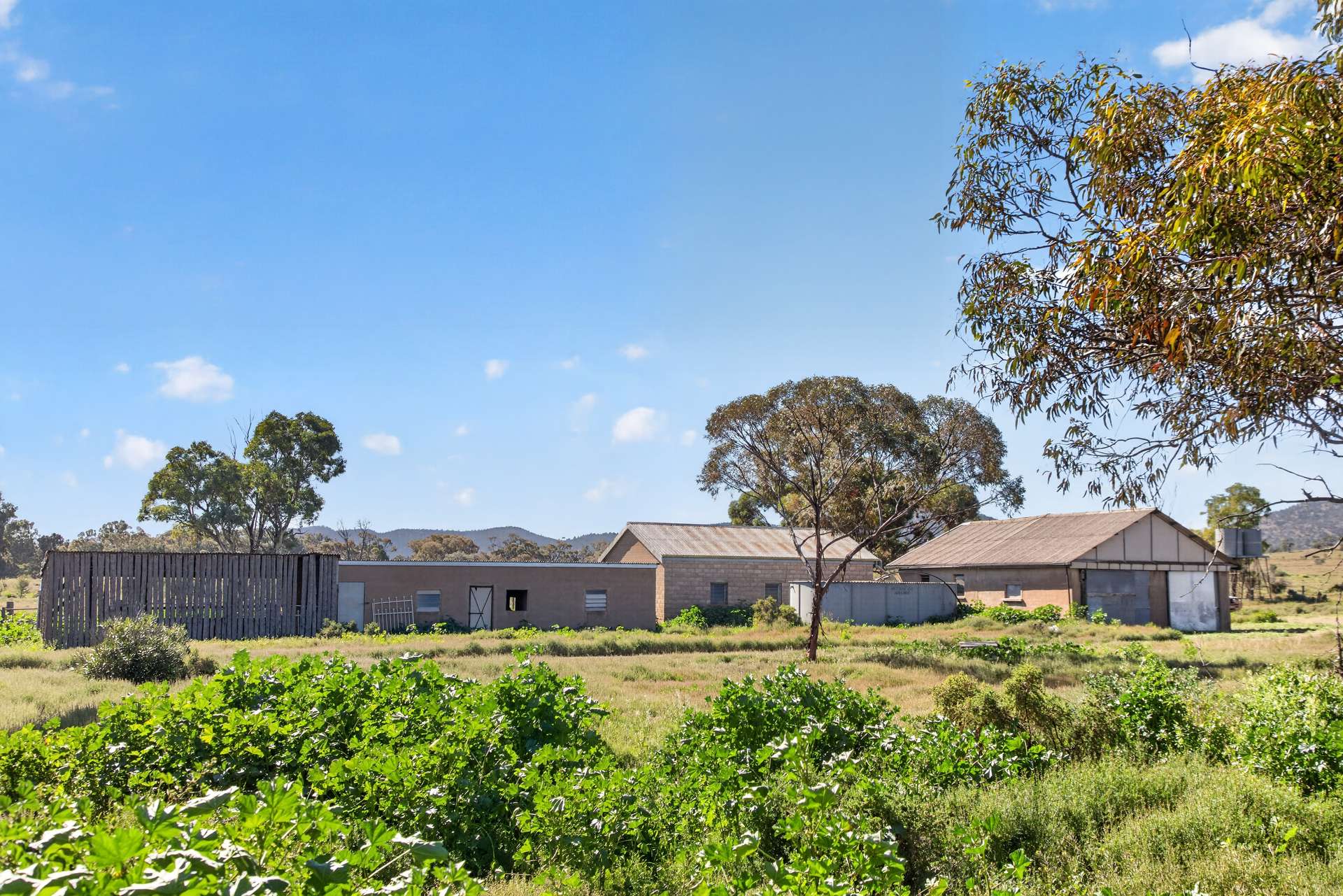 3240 Martins Well Road, Upalinna Auction by Farmbuy.com - image 35