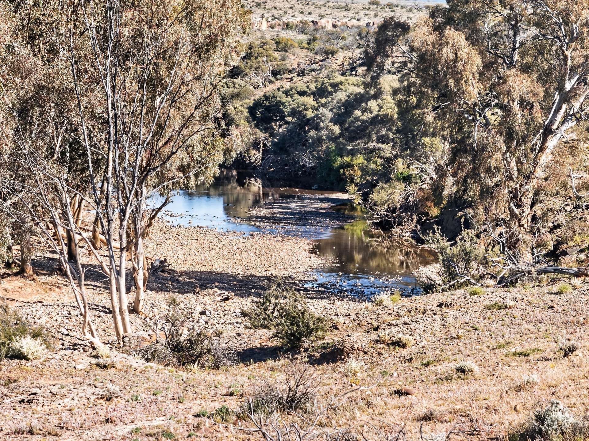 3240 Martins Well Road, Upalinna Auction by Farmbuy.com - image 14