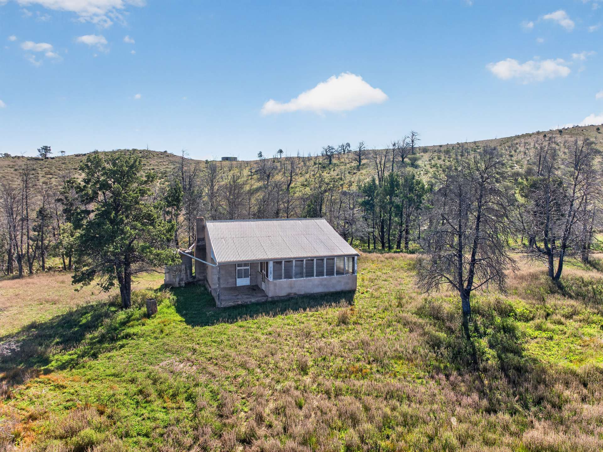 3240 Martins Well Road, Upalinna Auction by Farmbuy.com - image 30