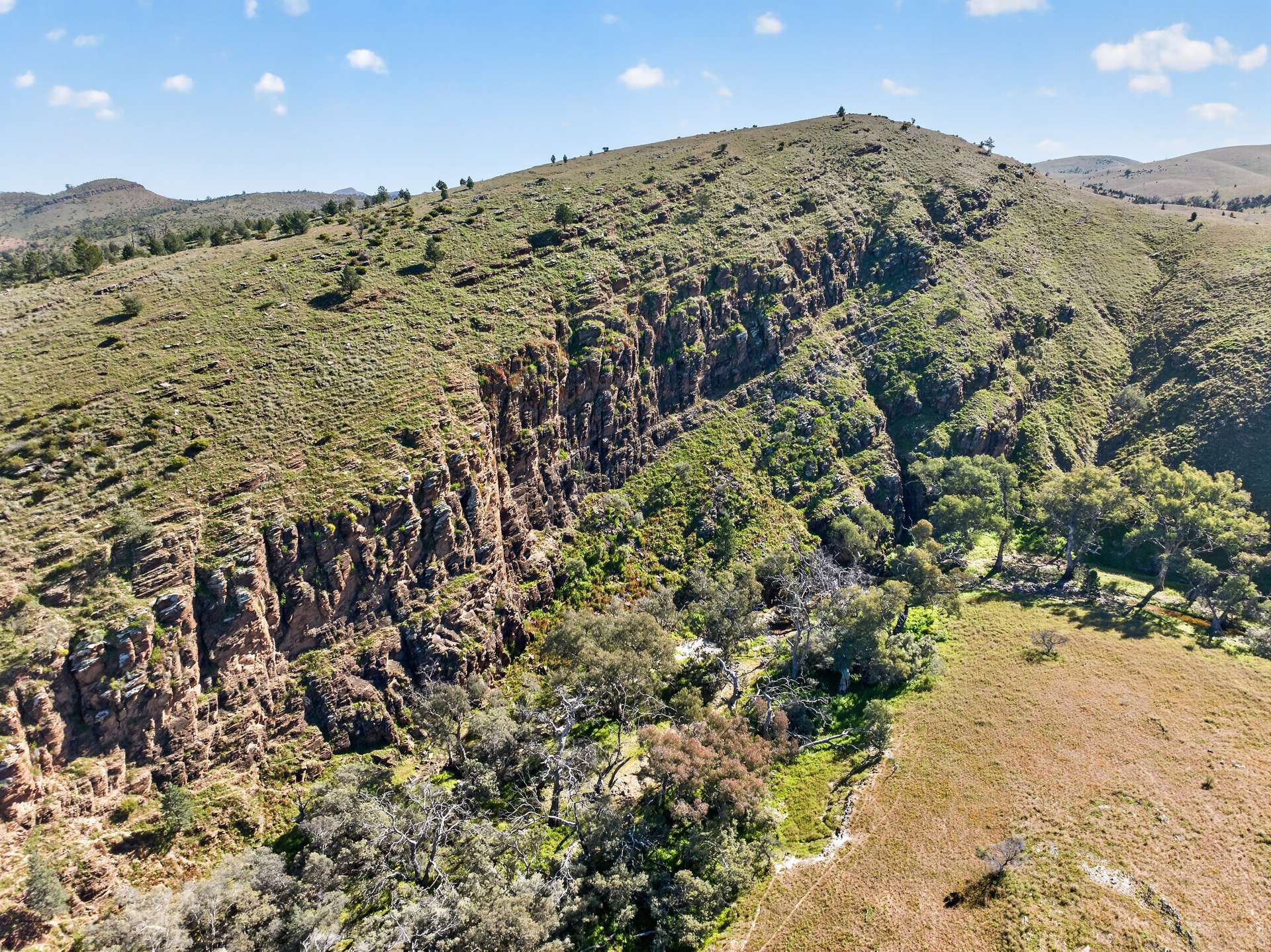 3240 Martins Well Road, Upalinna Auction by Farmbuy.com - image 28