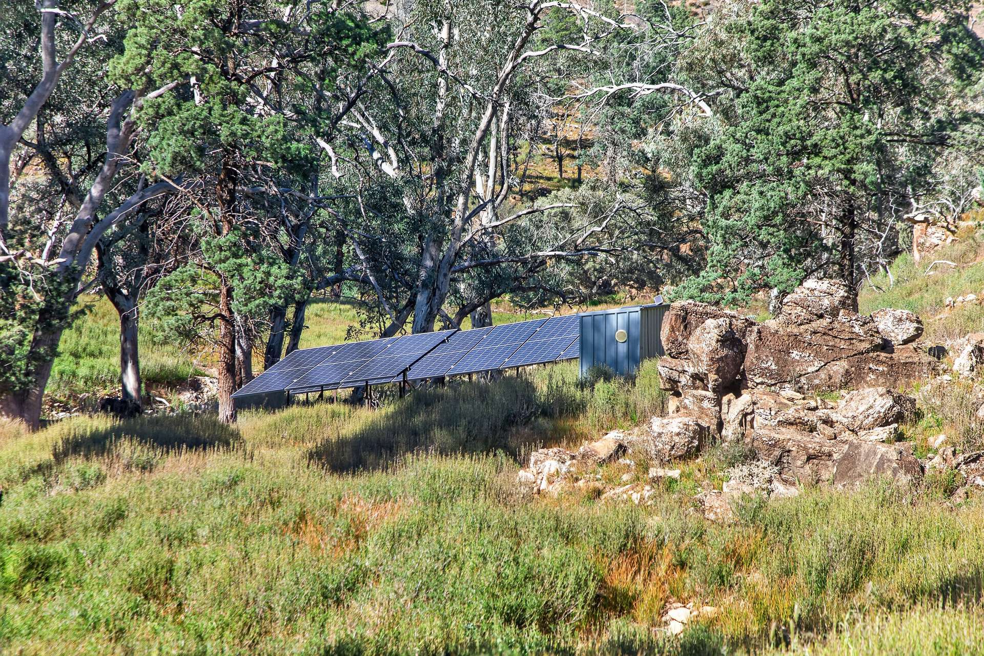 3240 Martins Well Road, Upalinna Auction by Farmbuy.com - image 31