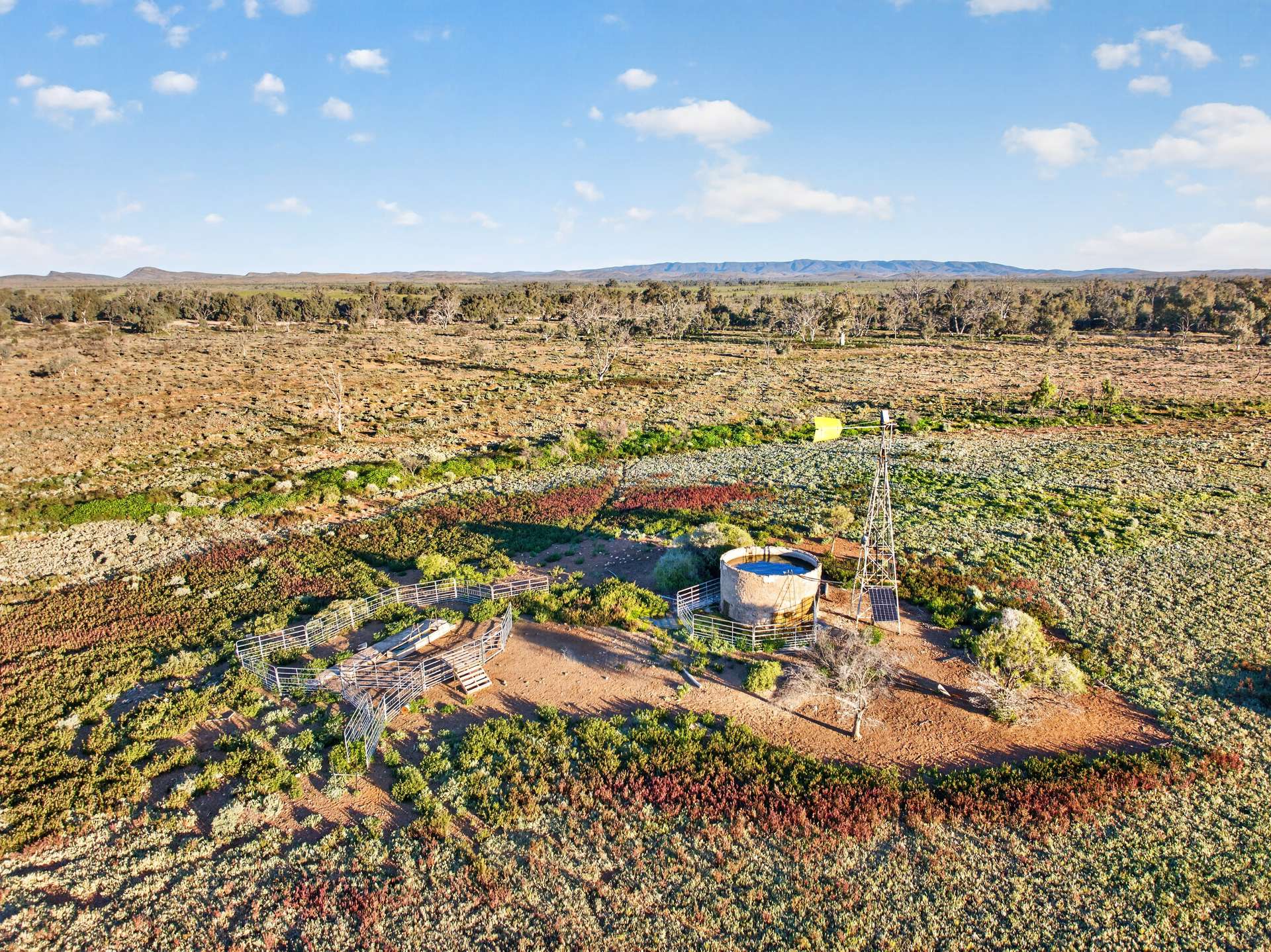 3240 Martins Well Road, Upalinna Auction by Farmbuy.com - image 22