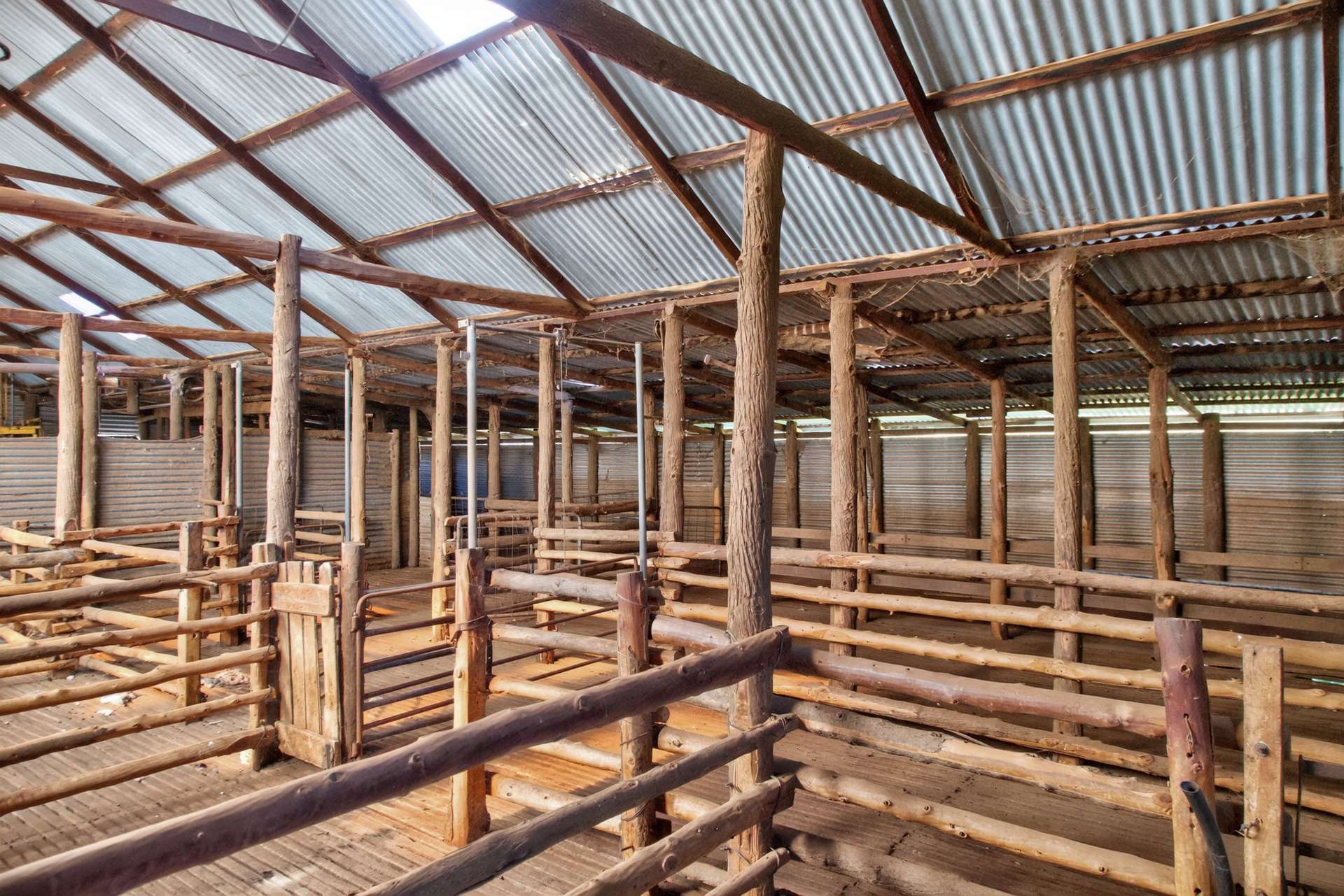 3240 Martins Well Road, Upalinna Auction by Farmbuy.com - image 20