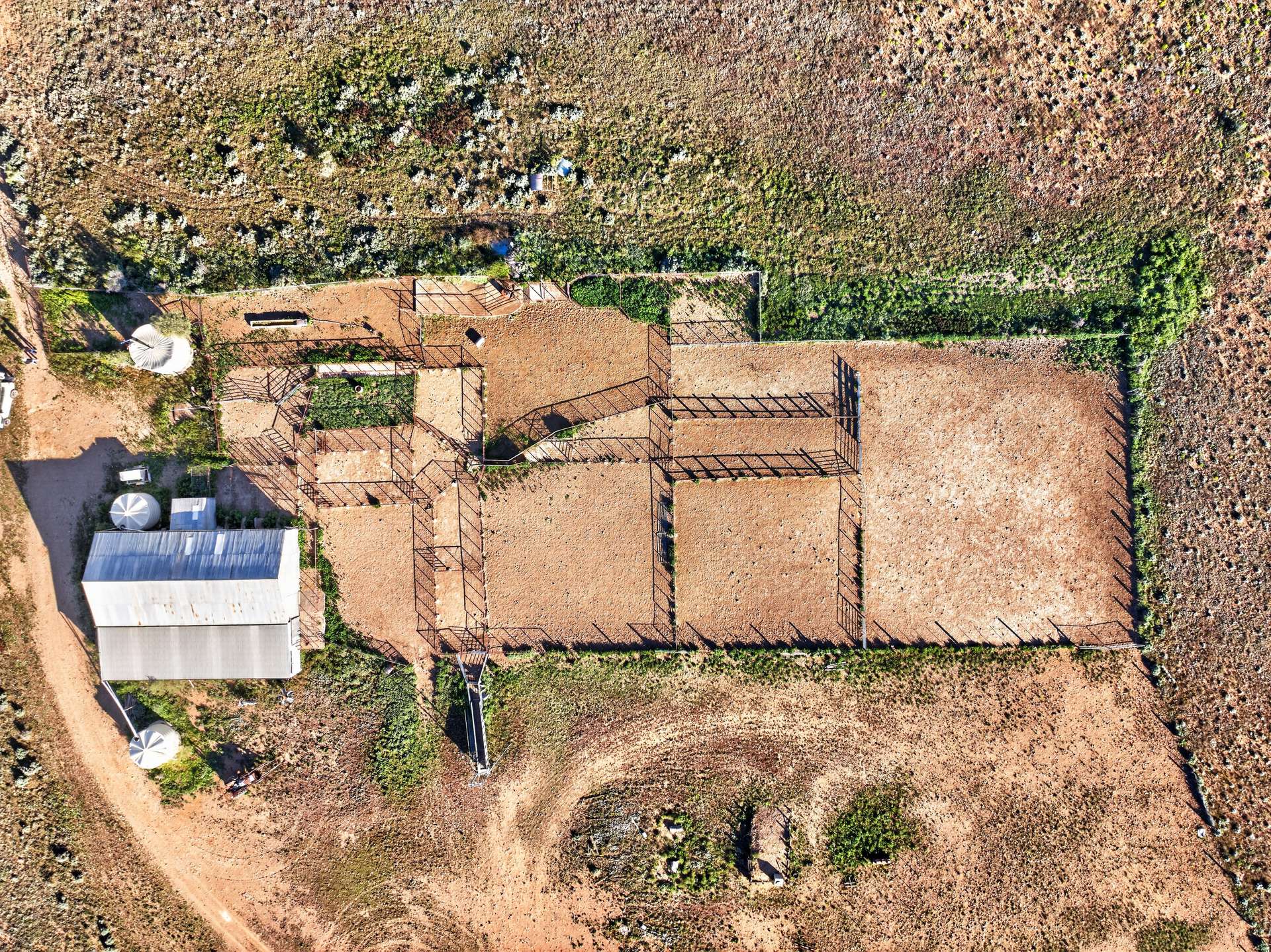 3240 Martins Well Road, Upalinna Auction by Farmbuy.com - image 21