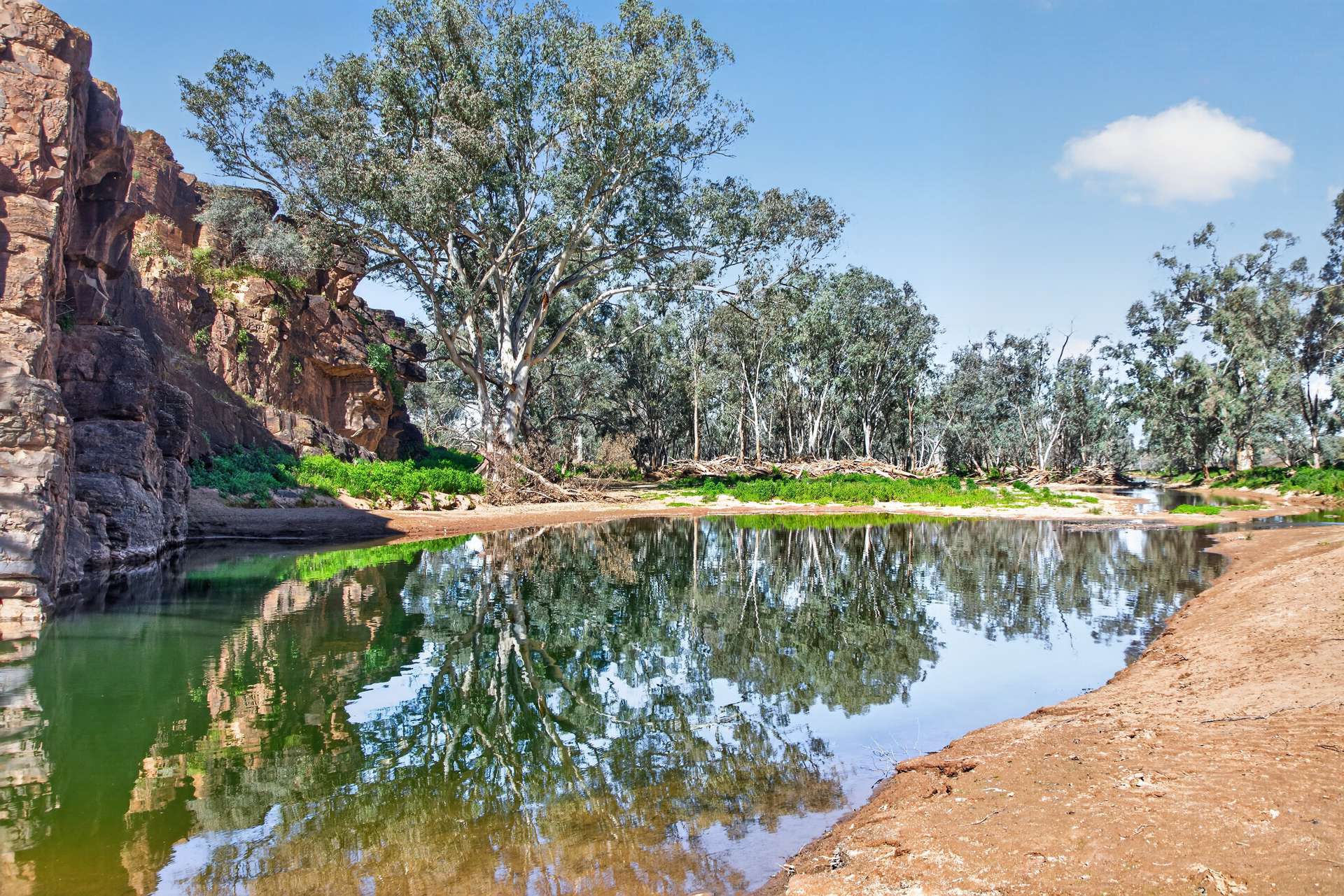 3240 Martins Well Road, Upalinna Auction by Farmbuy.com - image 27