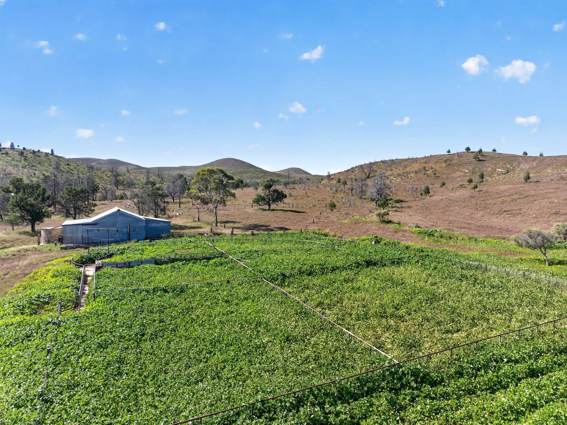 3240 Martins Well Road, Upalinna Auction by Farmbuy.com - image 29