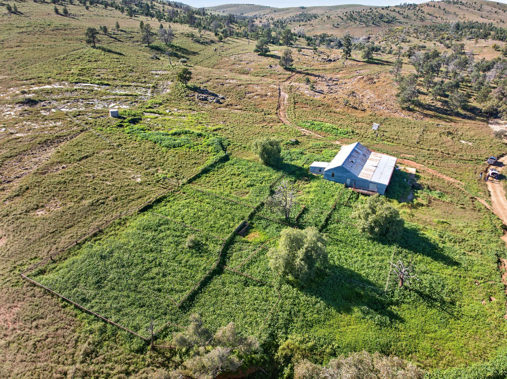 3240 Martins Well Road, Upalinna Auction by Farmbuy.com - image 13