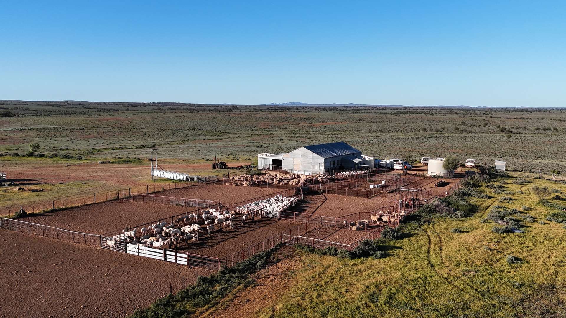 3240 Martins Well Road, Upalinna Auction by Farmbuy.com - image 7