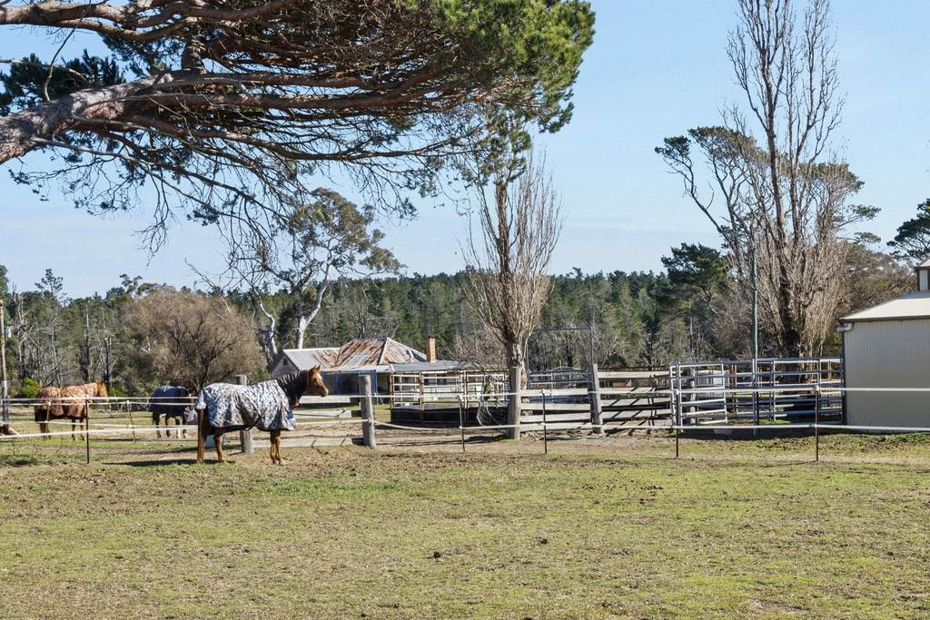 7650 Nerriga Road, Wog Wog NSW 2622